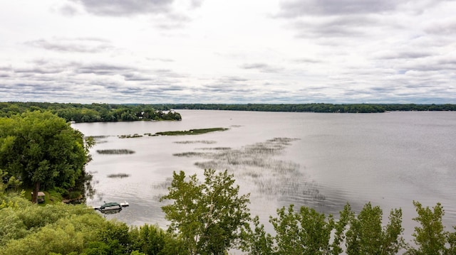 21701 Wagner Bay Ln, Elysian Twp, MN 56028