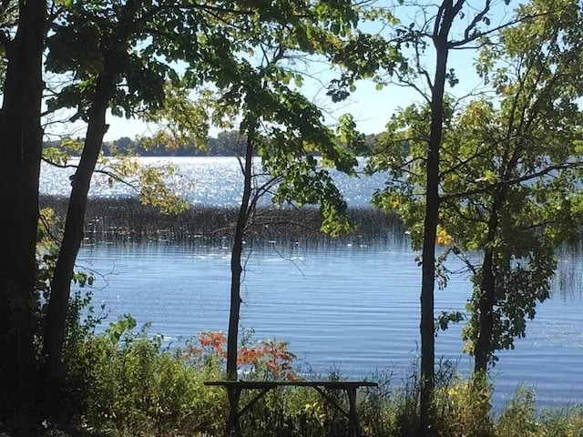 21701 Wagner Bay Ln, Elysian Twp, MN 56028