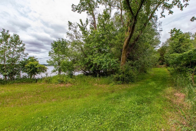 21701 Wagner Bay Ln, Elysian Twp, MN 56028