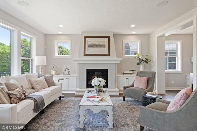 living room with a premium fireplace and hardwood / wood-style floors