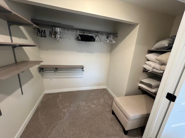 spacious closet with carpet