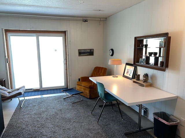 office space with a wealth of natural light, a textured ceiling, and wood walls