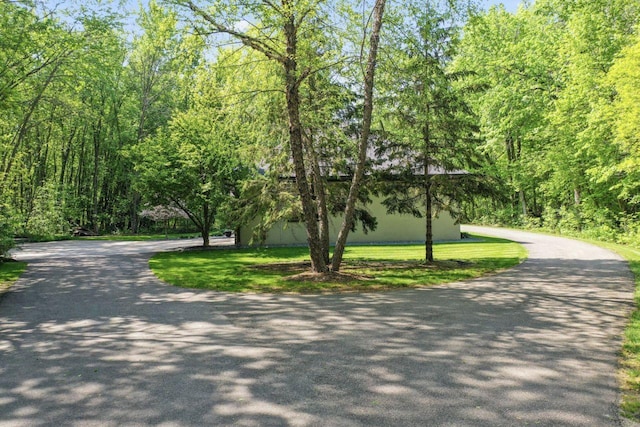 view of property's community with curved driveway