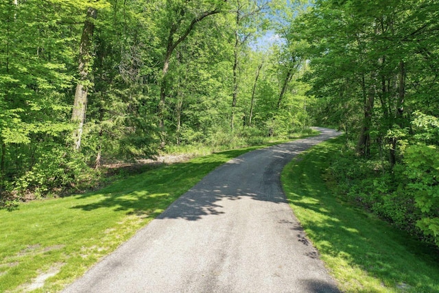 view of street with a view of trees
