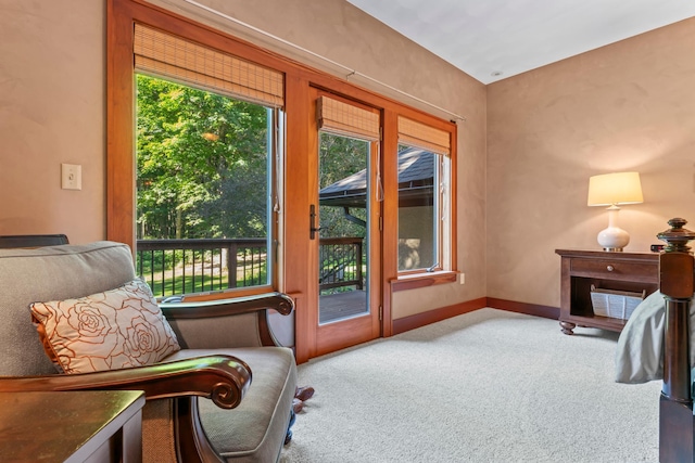 living area with carpet floors