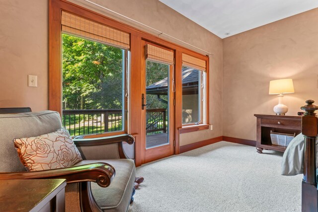1211 Lonsdale Blvd E, Northfield, MN 55057 - photo 34