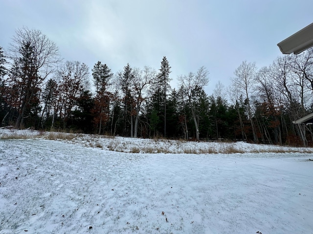 view of yard covered in snow