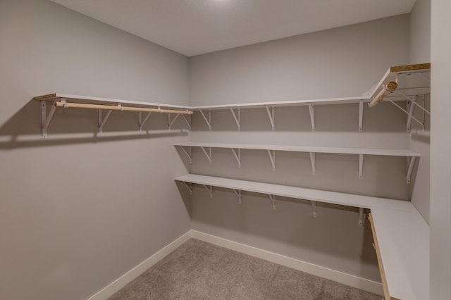 walk in closet featuring light colored carpet