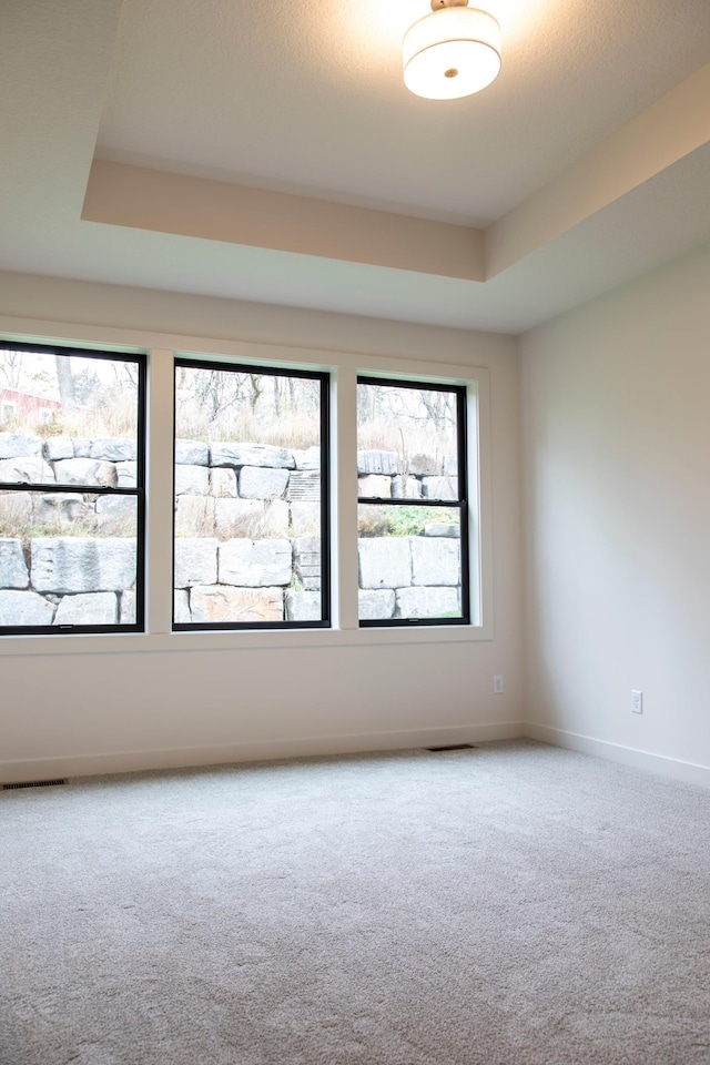 carpeted empty room featuring a raised ceiling