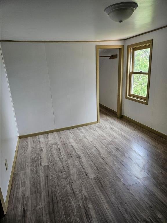 unfurnished bedroom featuring hardwood / wood-style flooring and a closet