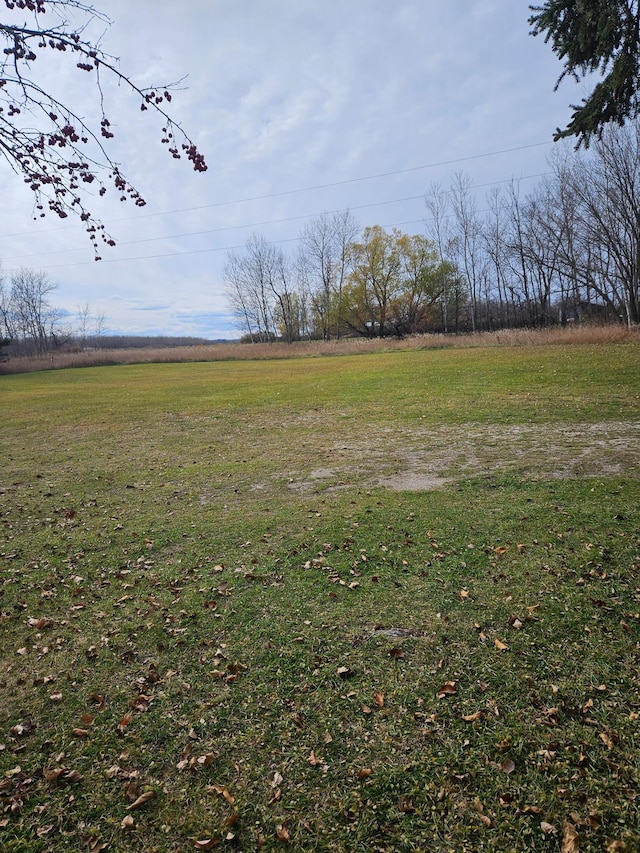 view of yard with a rural view