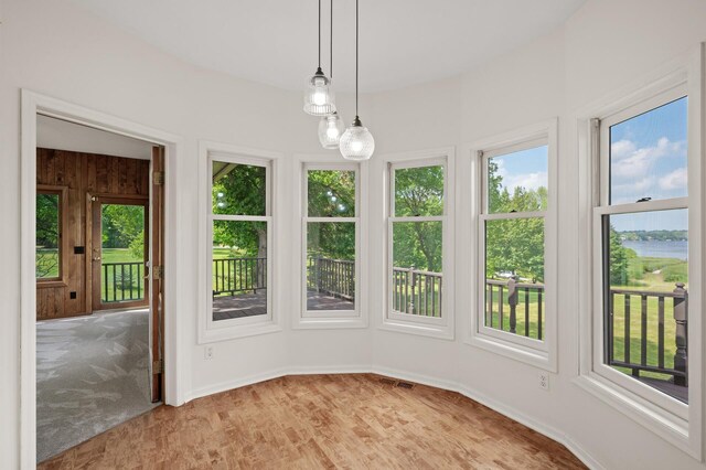 unfurnished sunroom with a wealth of natural light