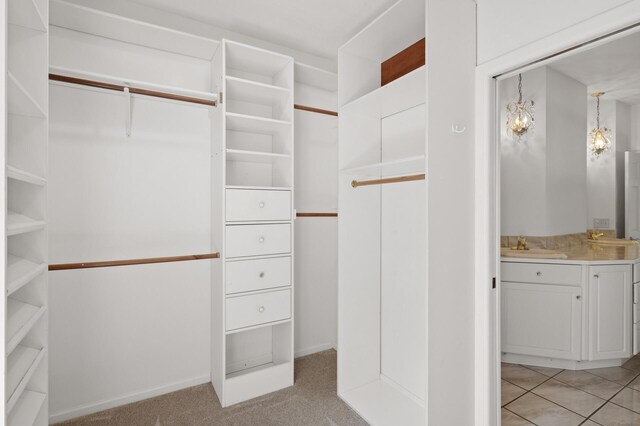 spacious closet featuring sink and light carpet