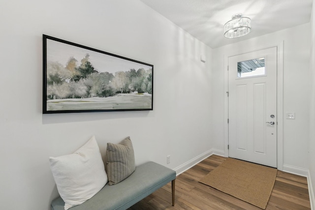 entrance foyer featuring wood-type flooring