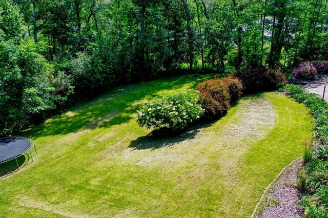 view of yard featuring a trampoline