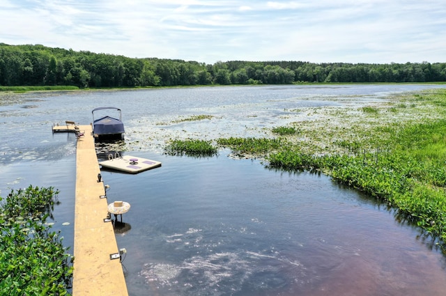 view of water feature featuring a dock