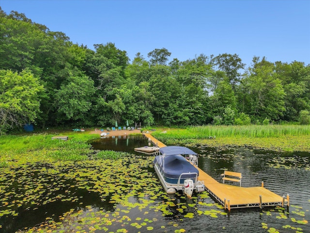 dock area featuring a water view