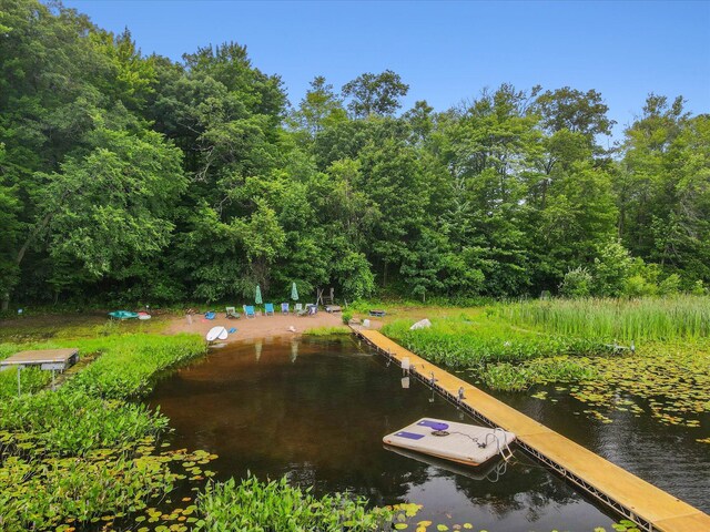 exterior space featuring a dock and a water view