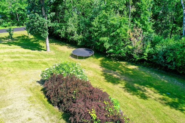 view of yard with a trampoline