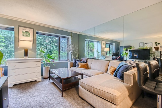 living room featuring ornamental molding and carpet