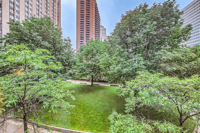 view of property's community featuring a lawn