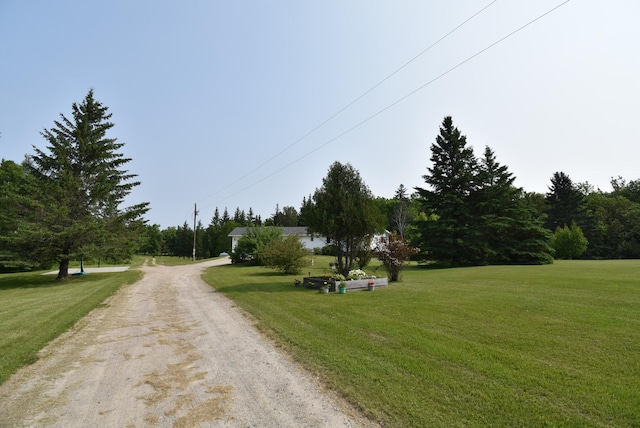 view of street featuring driveway