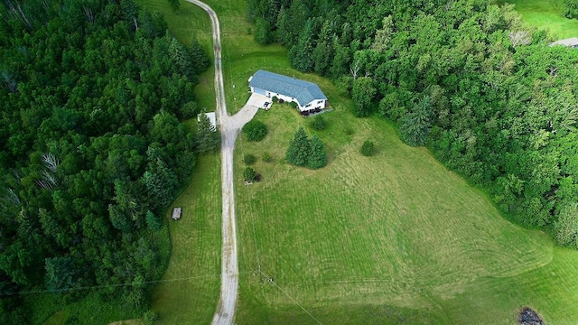 drone / aerial view