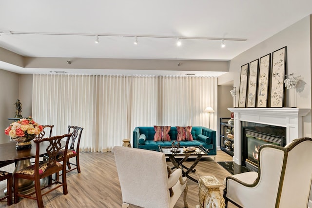 living room featuring light wood-type flooring and rail lighting