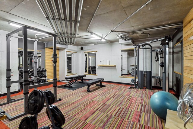 exercise room featuring carpet flooring