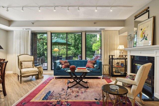 living room with rail lighting and wood-type flooring