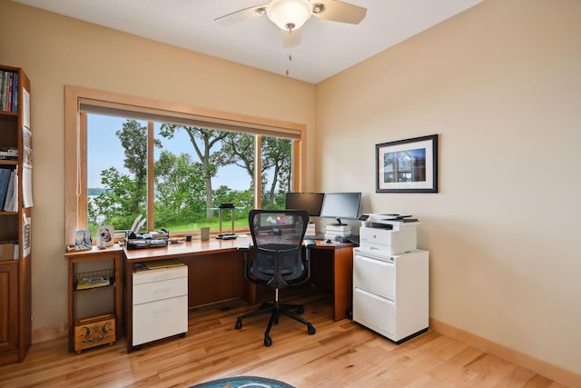 office featuring ceiling fan and light wood-type flooring