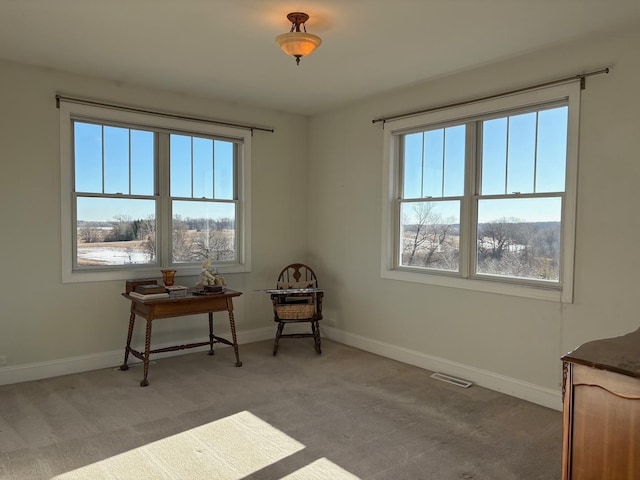 sitting room featuring light carpet