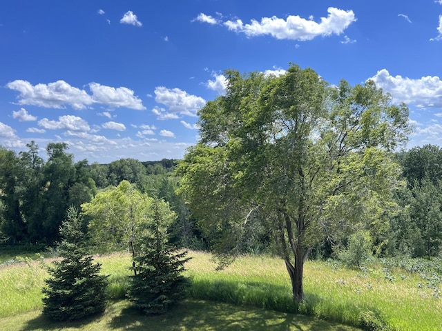 view of local wilderness