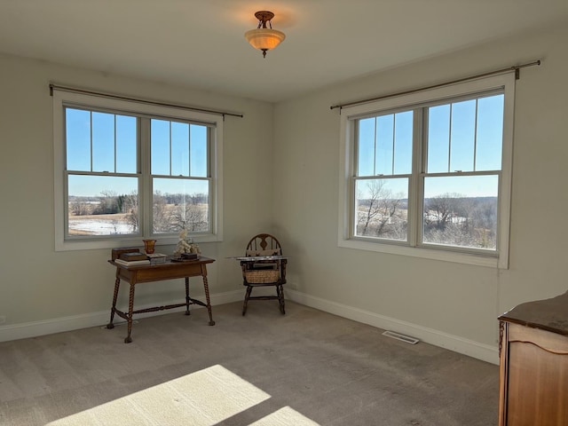 20801 13th Ave, Saint Augusta, MN 55320 - living area featuring plenty of natural light, carpet flooring, and baseboards