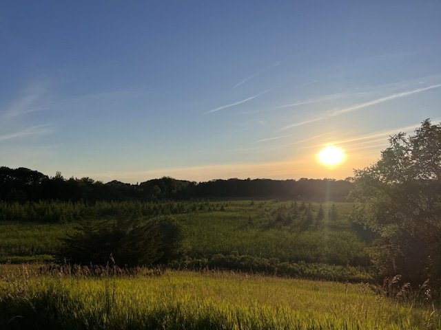 20801 13th Ave, Saint Augusta, MN 55320 - view of nature