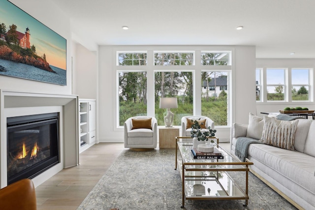 living room with light hardwood / wood-style floors and built in features