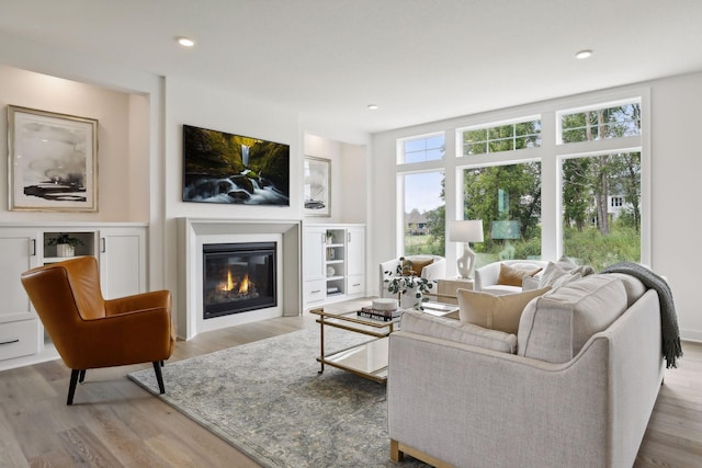 living room featuring light hardwood / wood-style floors