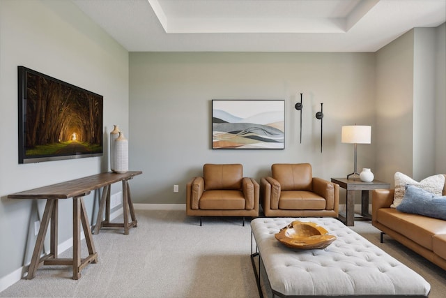 carpeted living room with a raised ceiling