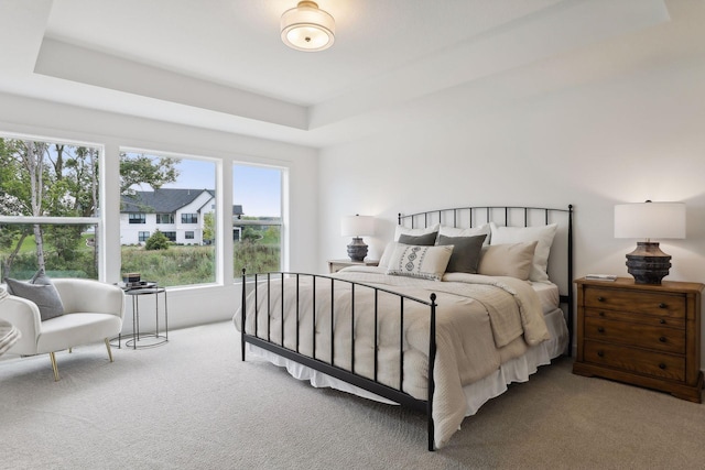 bedroom with carpet floors and a raised ceiling