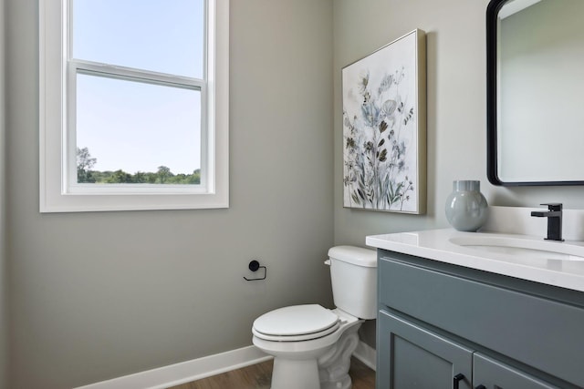 bathroom with toilet and vanity