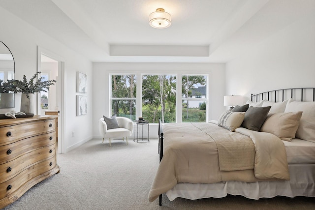 carpeted bedroom featuring a tray ceiling