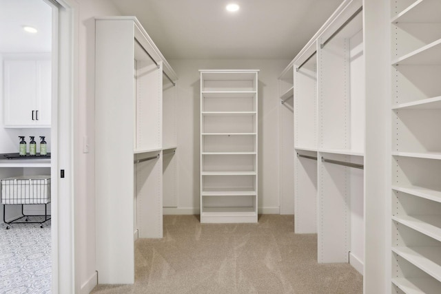 spacious closet with light carpet