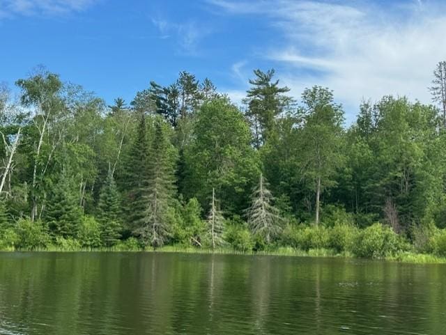 Listing photo 3 for TBD Thunder Lake Dr NE, Remer MN 56672