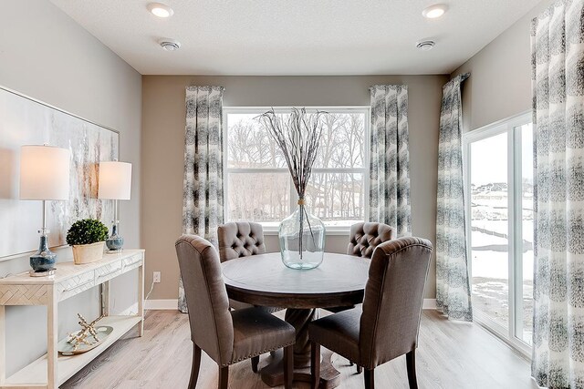 dining room with light hardwood / wood-style flooring and a textured ceiling