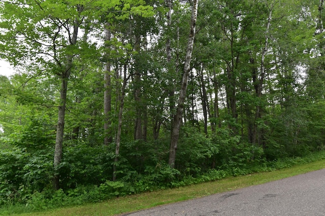 Listing photo 2 for TBD Terminal Rd, Breezy Point MN 56472