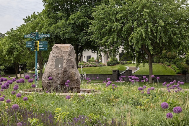 view of nearby features with a lawn