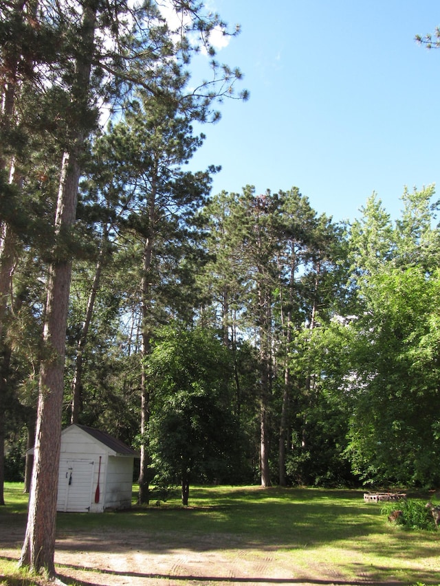 view of yard featuring a shed