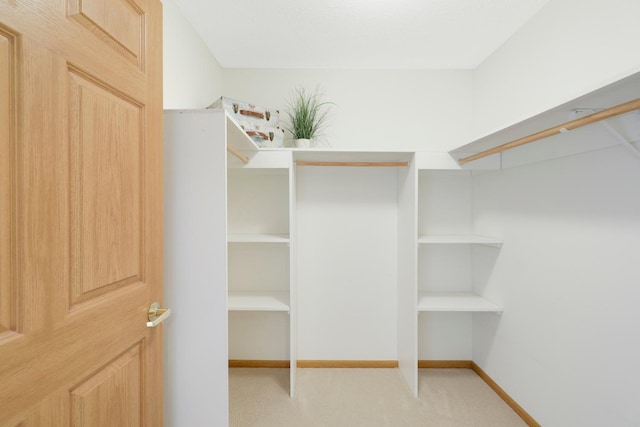 walk in closet with light carpet