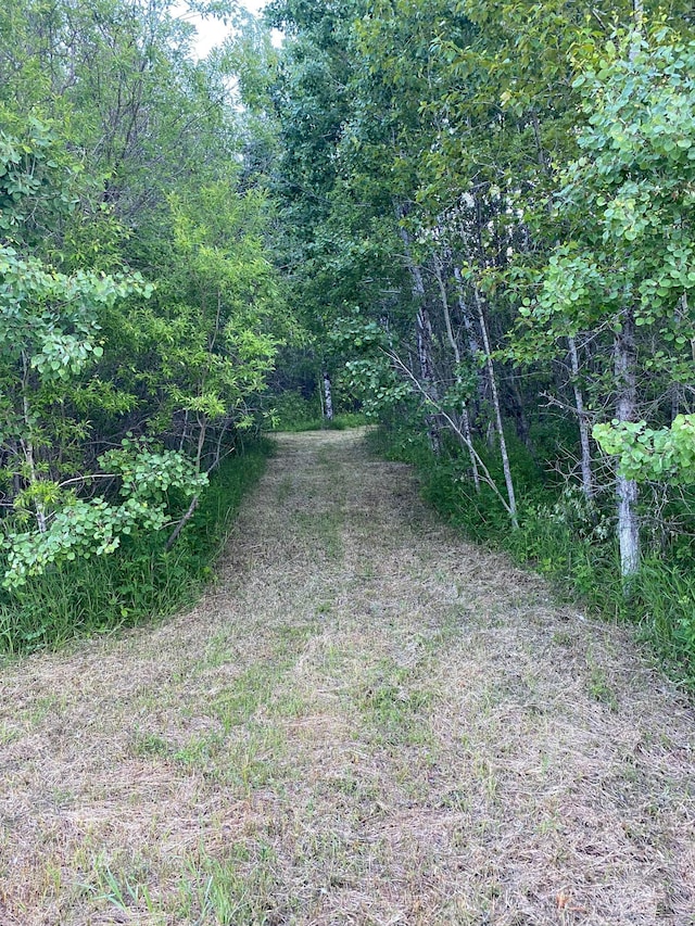 TBD 63rd St SW, Baudette, MN 56623
