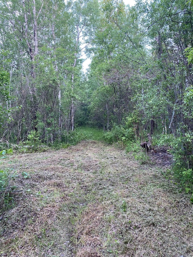 TBD 63rd St SW, Baudette, MN 56623